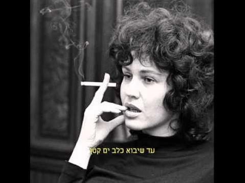 לאור היום - אנטיביוטיקה- הופעה